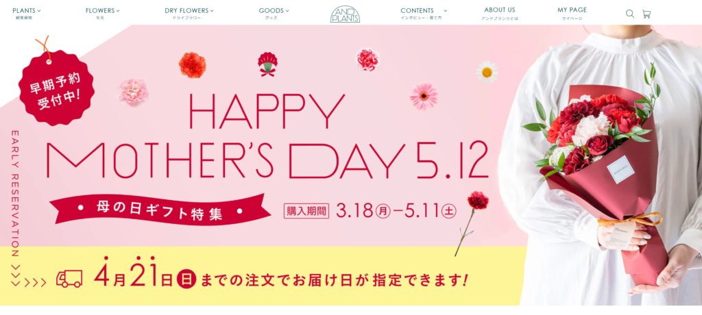 AND PLANTS ドライフラワー